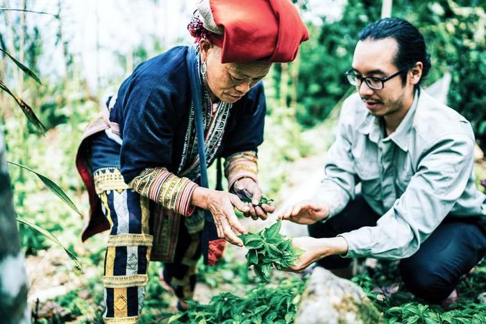 Hoài Tiến đem phong vị núi rừng ra với thế giới qua những bài men lá sưu tầm.