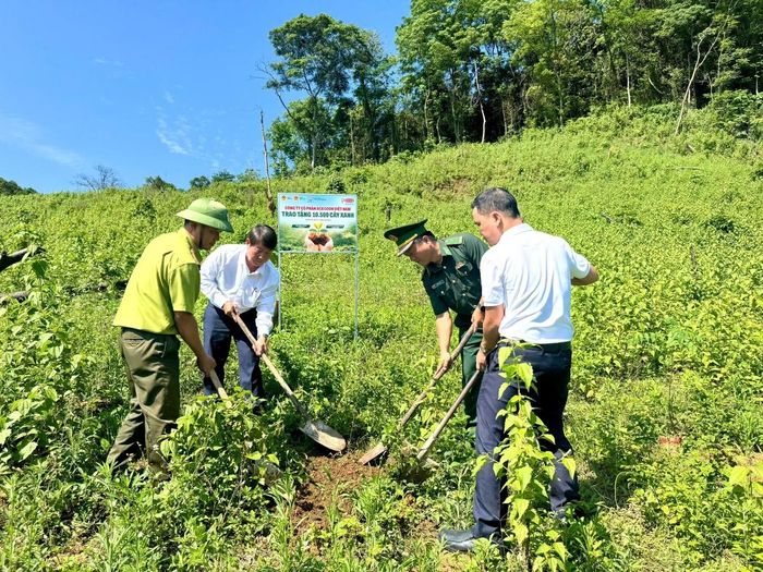 Dự án hướng tới mục tiêu nâng cao độ che phủ rừng và bảo vệ nguồn nước tại khu vực miền núi Quảng Trị