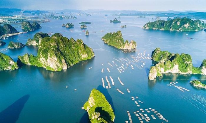 Hệ thống thông tin khai thác và sử dụng tài nguyên biển tích hợp 54 lớp dữ liệu tham chiếu, bao quát đầy đủ các yếu tố liên quan đến không gian biển