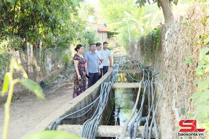Người dân bản Nà Hường dẫn nước mó về sinh hoạt