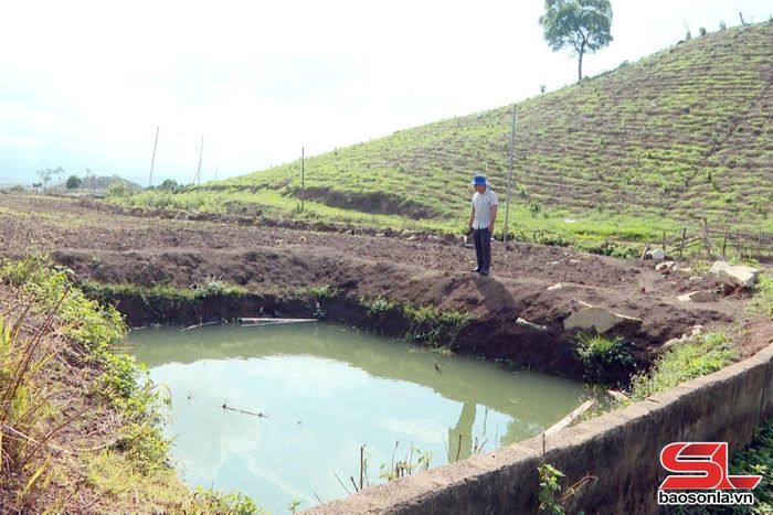 Mó nước đầu nguồn phục vụ sinh hoạt chính cho hàng trăm hộ dân bản Pát Ca, bản Nà Hường và Tiểu khu 7, xã Tà Hộc ngày càng cạn nước.