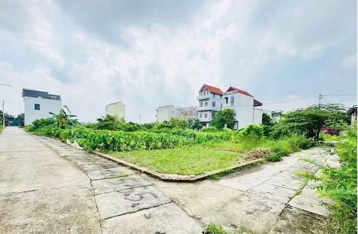 Vẫn đang tồn tại một lượng lớn giao dịch đất đai còn vướng mắc về pháp lý.
