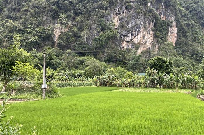 Thời tiết các khu vực trong tỉnh ngày 10/5/2025 đêm và sáng có mưa rào và dông rải rác.