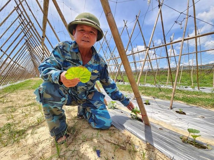 Việc ban hành quy chế mới sẽ thúc đẩy sản xuất nông nghiệp Nghệ An theo hướng hiện đại, thích ứng
