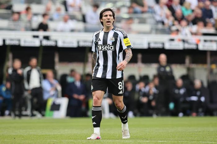  Sandro Tonali. ẢNH: MIRROR/GETTY 