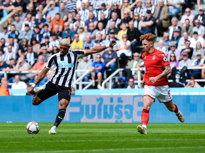 Newcastle vẫn đang cần điểm cho mục tiêu giành vé dự cúp châu Âu