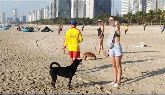Người dân cũng đã trực tiếp trao đổi với nữ du khách trên, tuy nhiên người này vẫn thể hiện thái độ khó chịu khi được nhắc nhở và cho rằng việc thả chó tại khu vực bãi biển là đúng quy định