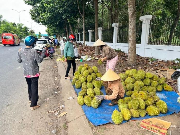 Hàng chục điểm bán sầu riêng trên tuyến đường Nguyễn Văn Cừ thu hút đông đảo người mua