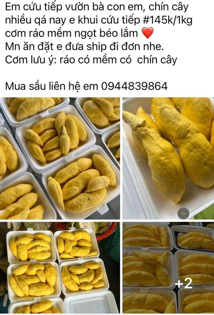 Sầu riêng được rao bán trên mạng xã hội nhằm ủng hộ nhà vườn
