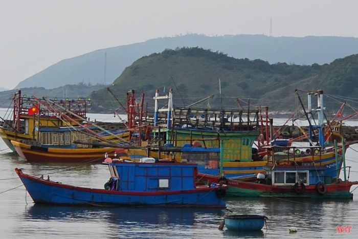 Nhiều chủ tàu cá ở phường Hoành Sơn chưa thể thực hiện Nghị định 41.