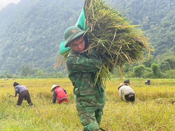 Hạ sĩ Cao Ngọc Huyên, chiến sĩ Đồn Biên phòng Cà Xèng cùng đồng đội giúp đồng bào Rục thu hoạch lúa.