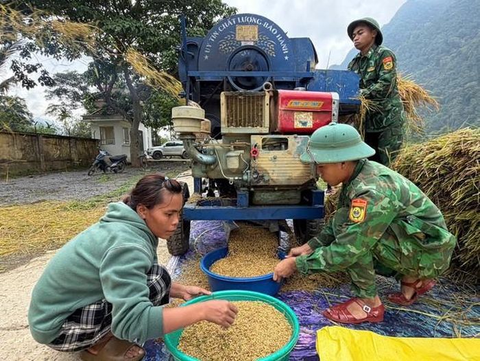 Bộ đội hỗ trợ người dân tuốt lúa.