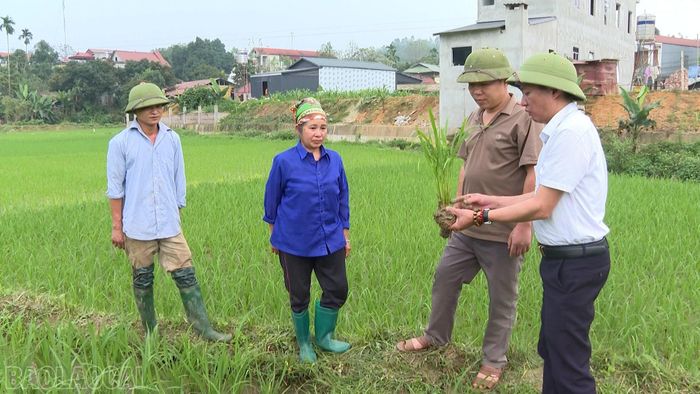 Vận hành mô hình chính quyền mới cán bộ công chức cấp xã luôn sâu sát cơ sở.