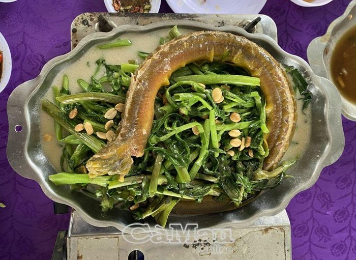 Món lươn um rau ngổ nước dừa có vị béo, ngọt hấp dẫn.
