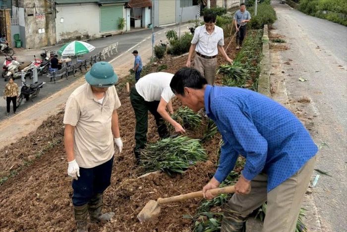 "Tuyến đê xanh - sạch - nở hoa" của xã Sơn Đồng đang được triển khai. Ảnh: Cơ sở