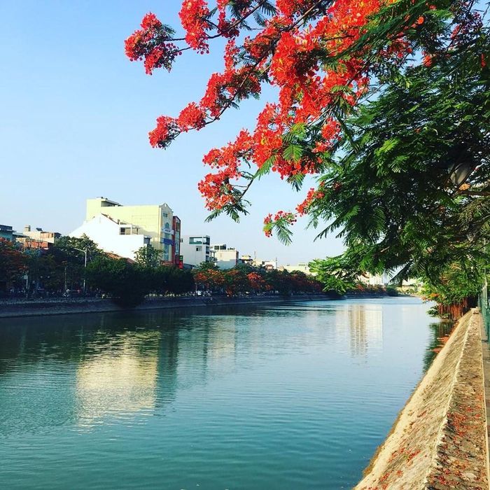 Vẻ đẹp của hồ Tam Bạc, TP. Hải Phòng