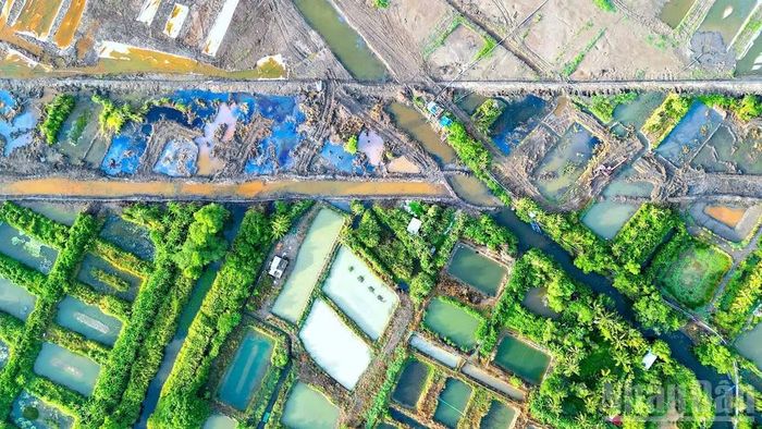 Cận cảnh trên cao khu vực giáp ranh giữa vùng canh tác hệ ngọt phường Tân Thành với khu vực triển khai thi công Dự án nâng cấp, mở rộng Cảng hàng không Cà Mau.