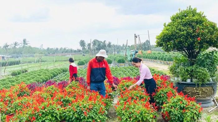 Cán bộ tín dụng Ngân hàng Chính sách xã hội Hoài Nhơn luôn bám sát cơ sở, tận tình hướng dẫn khách hàng sử dụng vốn vay đúng mục đích, đạt hiệu quả.