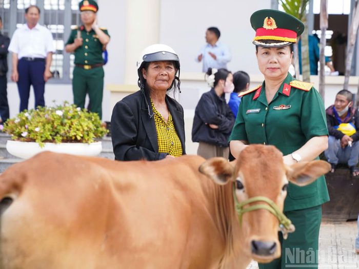 Người dân nhận bò từ chương trình.