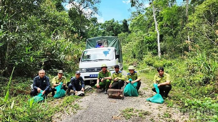 Công tác chuẩn bị tái thả 8 cá thể động vật quý, hiếm về tự nhiên.