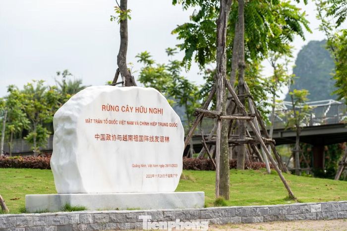 Hiện tại, công viên chia làm nhiều phân khu và là nơi ghi dấu nhiều sự kiện ngoại giao quan trọng tầm cỡ khu vực của tỉnh Quảng Ninh.