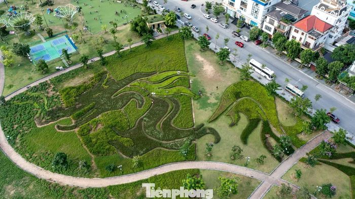 Một góc thảm cỏ của công viên được khắc họa hình tượng con rồng gắn liền với truyền thuyết rồng mẹ và đàn rồng con xuống giúp dân đánh giặc và ở lại tạo nên vịnh Hạ Long và vịnh Bái Tử Long.