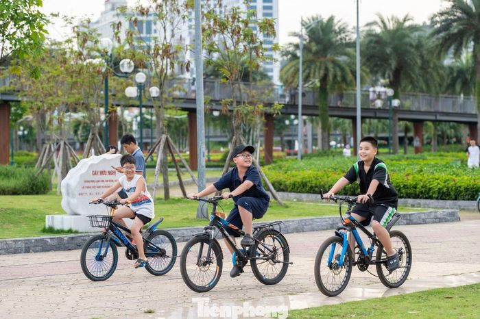 Công viên Hoa Hạ Long không chỉ là nơi thư giãn lý tưởng cho các gia đình và giới trẻ mà còn là không gian tổ chức các sự kiện văn hóa - nghệ thuật ngoài trời.