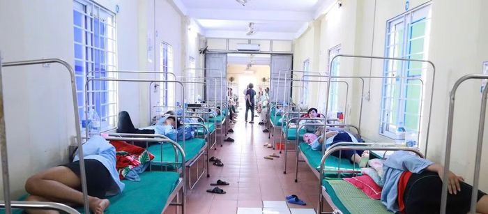 Hàng chục người nhập viện sau khi ăn bánh mì mua tại tiệm bánh mì Quỳnh.