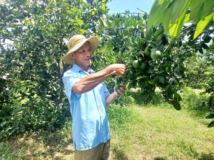  Mô hình nông nghiệp kết hợp với du lịch sinh thái đang là "đòn bẩy" cho Thượng Đức bứt phá.
