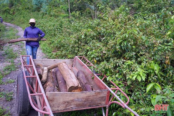 Trong khi đó, do vướng mắc về thủ tục thanh lý, tận thu và nguồn kinh phí hạn hẹp, việc dọn dẹp, xử lý vẫn chưa thể triển khai đồng bộ.