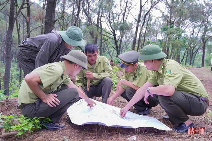 Các đơn vị quản lý rừng, người trồng rừng đang rất cần sự vào cuộc quyết liệt, đồng bộ của ngành chức năng trong việc tháo gỡ các điểm nghẽn để những diện tích rừng bị thiệt hại sau bão sớm được hồi sinh. Bởi giữ rừng hôm nay không chỉ là bảo vệ tài nguyên, mà còn là bảo vệ chính cuộc sống và tương lai của người dân.