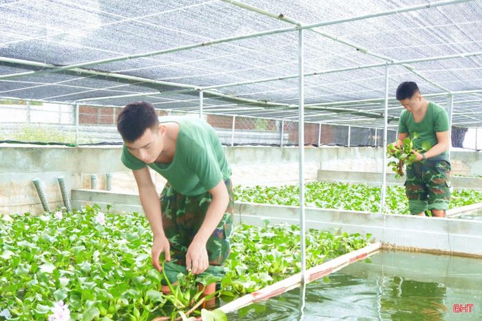  Trung đoàn 841 còn tận dụng hiệu quả diện tích ao hồ để nuôi cá, lươn, ếch... tạo thêm nguồn thực phẩm phong phú cho bữa ăn bộ đội. 