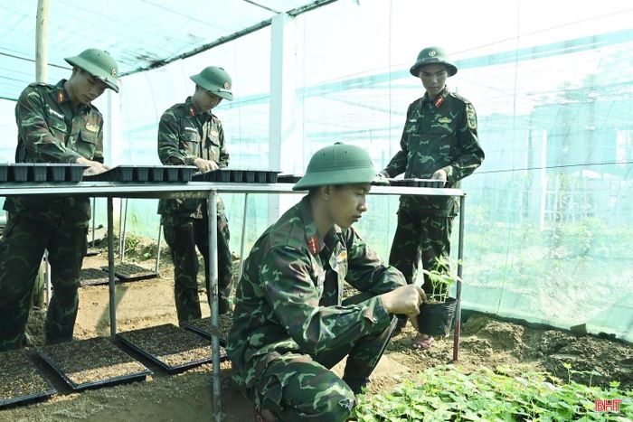  Hơn 600 bầu cây giống non đang được chăm sóc kỹ chờ ngày đưa ra trồng ngoài khu vườn rộng hơn 5.600 m². Từng khay giống đều được chăm sóc kỹ để cây phát triển khỏe mạnh, thích nghi tốt với điều kiện thời tiết, cho năng suất cao. 