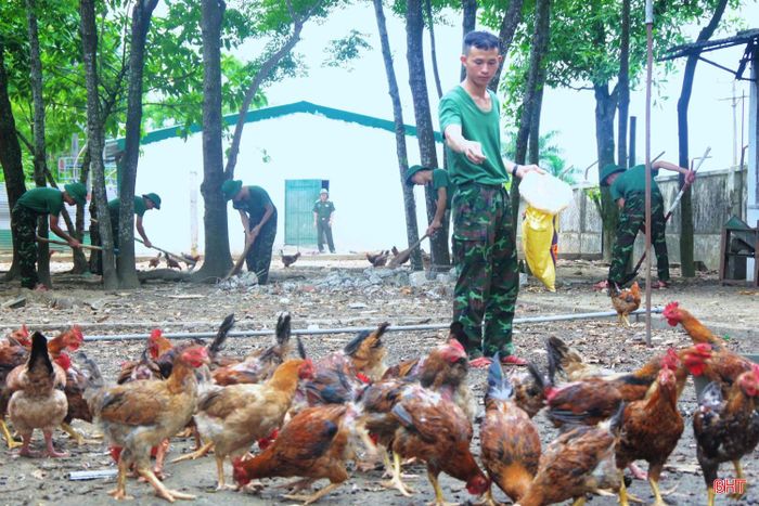  Cùng với trồng trọt, Trung đoàn 841 hiện duy trì đàn gia cầm gần 2.000 con. Khu chuồng trại được quy hoạch hợp lý, thường xuyên vệ sinh sạch sẽ, phòng dịch cẩn thận nên hiệu quả khá cao. Nguồn thực phẩm từ chăn nuôi góp phần cải thiện bữa ăn và nâng cao đời sống cho bộ đội. 