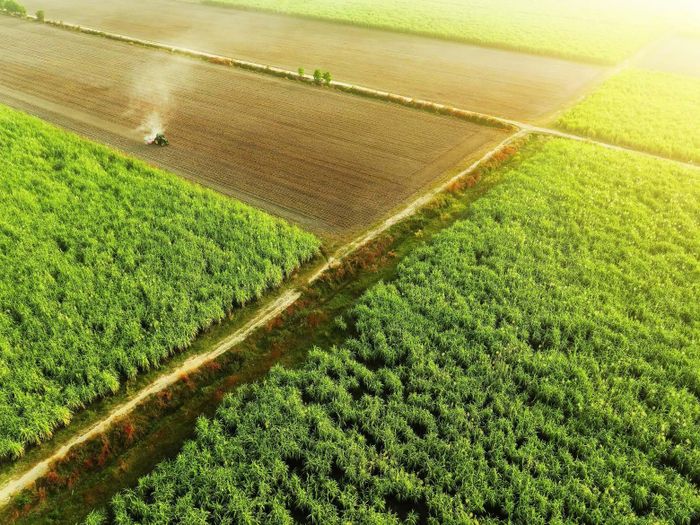 Vùng nguyên liệu của TTC AgriS có quy mô gần 80.000 ha.