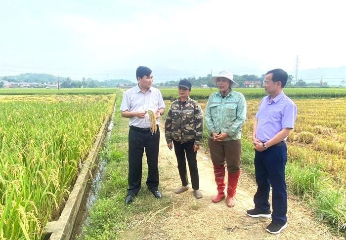Thành viên đoàn công tác thăm đồng và làm việc với người dân xã Cẩm Tú.