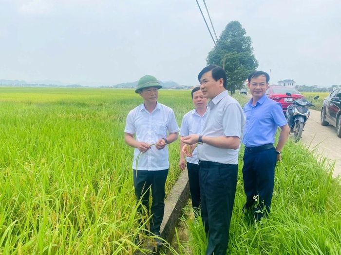 Thăm đồng và đánh giá năng suất lúa tại xã Tây Đô.