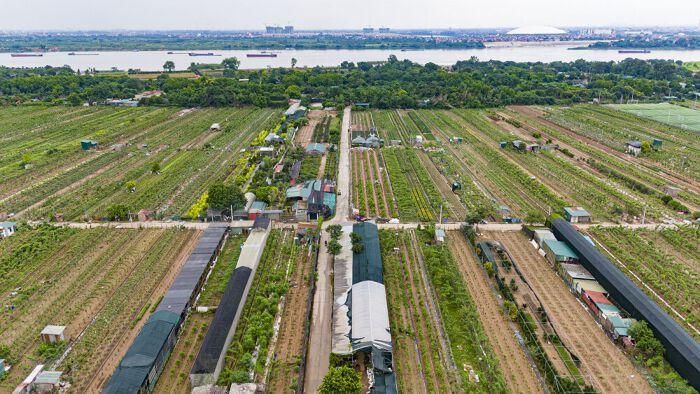 Một góc khu dân cư ven sông Hồng (ảnh: Ngọc Đẹp).