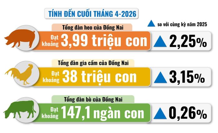 Đồ họa thể hiện tổng đàn heo, bò, gia cầm của Đồng Nai tính đến cuối tháng 4-2026 theo số liệu từ Thống kê thành phố Đồng Nai. Thông tin - Đồ họa: Hải Quân