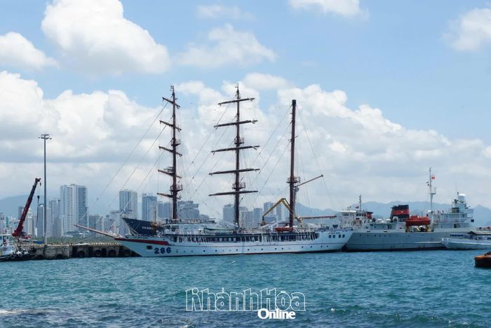 Những con tàu dập dềnh tạo điểm nhấn giữa biển trời.