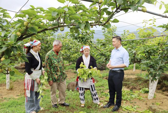 Cán bộ xã Mường Hum hướng dẫn người dân kỹ thuật chăm sóc cây lê nhằm nâng cao năng suất, chất lượng.