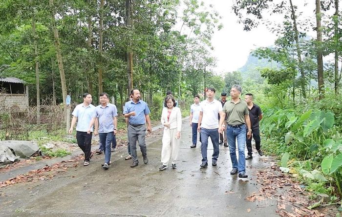 Lãnh đạo xã Lâm Bình và đại diện các đơn vị khảo sát tại xã Lâm Bình.