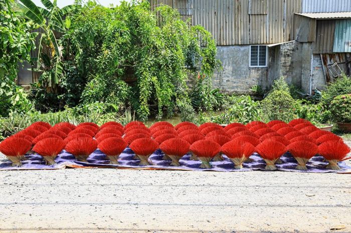 Dọc con đường Mai Bá Hương, Thích Thiện Hòa (xã Bình Lợi), chúng ta có thể dễ dàng bắt gặp những bó tăm nhang đỏ rực được phơi dưới cái nắng gay gắt của Sài Gòn