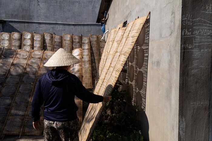Bánh sau khi tráng sẽ được mang đi phơi nắng cho khô