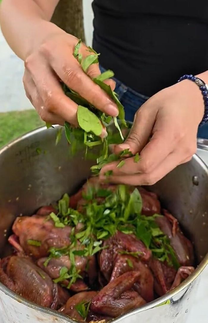 Một bí quyết nhỏ nhưng quan trọng được cô tiết lộ là việc cho thêm rất nhiều lá móc mật tươi vào công đoạn ướp. Mùi thơm của lá móc mật khi quyện cùng mật ong và ngũ vị hương sẽ tạo nên hương vị đặc trưng khó cưỡng cho món chim quay.