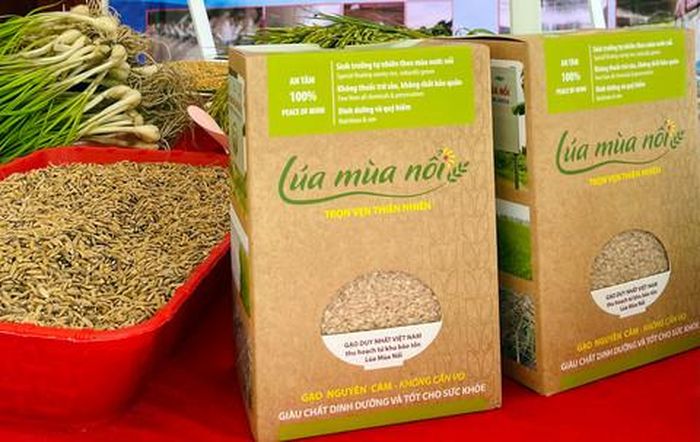 Lúa mùa nổi được đóng bao bì, nhãn mác