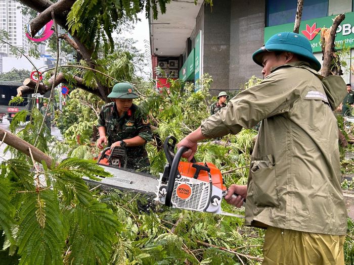 Sẵn sàng phương án huy động lực lượng cắt tỉa cây xanh sau bão, sớm ổn định cuộc sống người dân. Ảnh ST