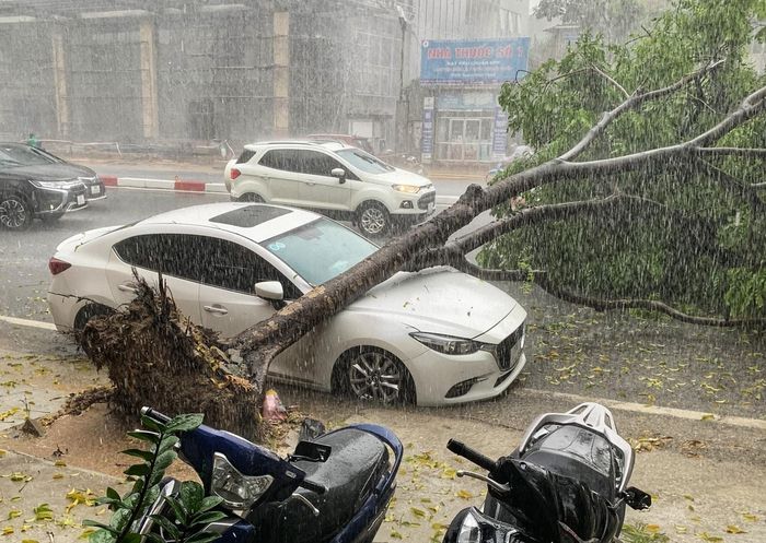 Hà Nội ưu tiên công tác cảnh báo, dự báo thiên tai để chủ động ứng phó. Ảnh ST