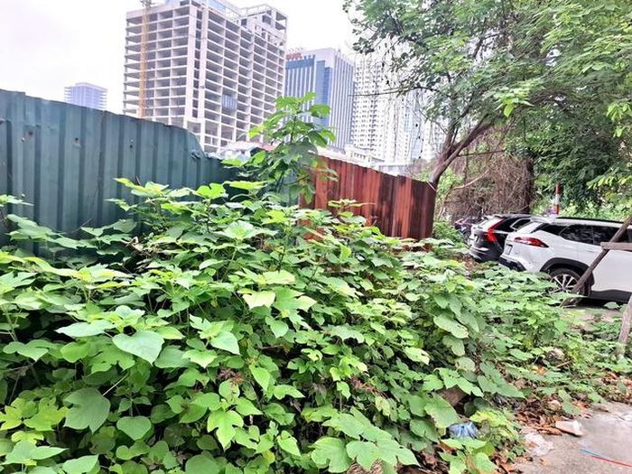 Qua quan sát, dự án tọa lạc ở vị trí tiếp giáp các tuyến phố sầm uất như Vũ Phạm Hàm, Nguyễn Chánh và Mạc Thái Tông, nhưng đang được quây tôn kín mít.