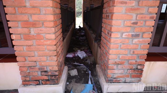 Tình trạng để hoang kéo dài khiến cho cảnh quan tại dự án du lịch trở nên nhếch nhác.